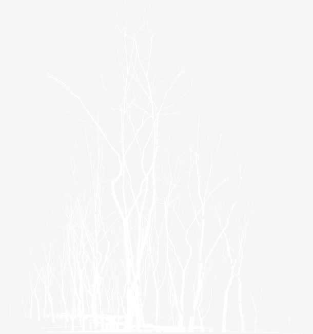 白色梦幻艺术树枝免抠