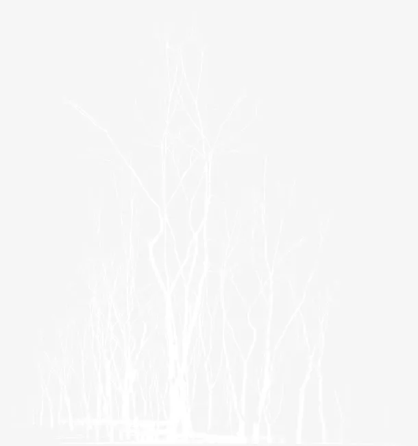 白色梦幻艺术树枝免抠