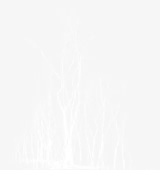 白色梦幻艺术树枝免抠