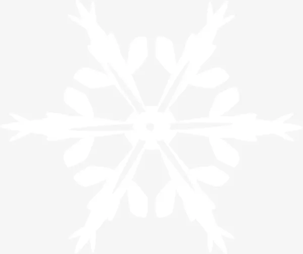 种类二雪花素材免抠