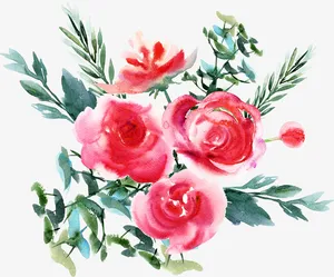 水彩鲜花免抠