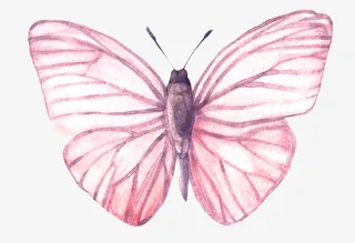 手绘水彩动物蝴蝶免抠