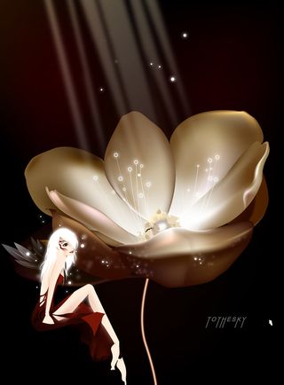 高档奢侈品背景高清