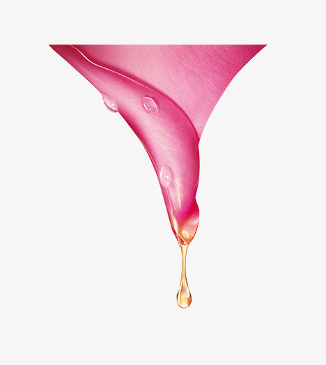 粉色花瓣水珠新鲜免抠