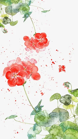 飘散的花瓣免抠