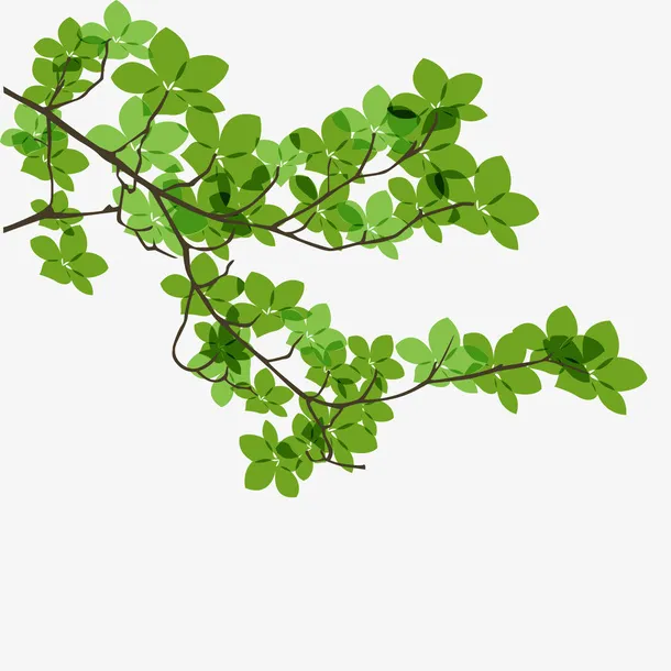 树枝树叶免抠