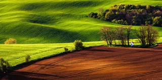 清新大片绿色草地免抠