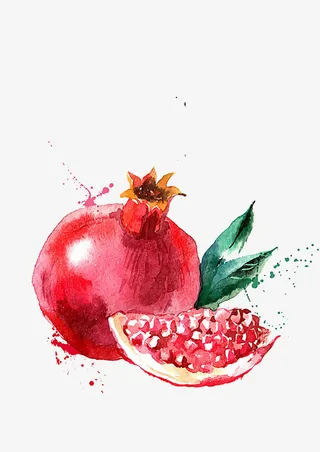 水彩石榴免抠