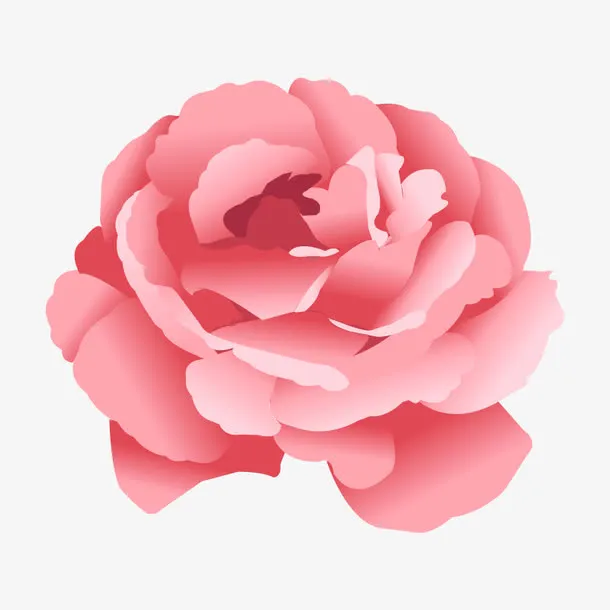 花朵 花卉免抠