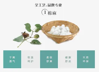 品牌工艺文字免抠