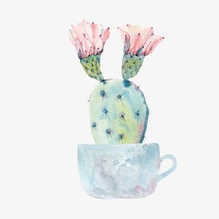 水彩手绘中国风仙人掌免抠