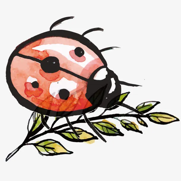 七星瓢虫和树枝矢量素材免抠