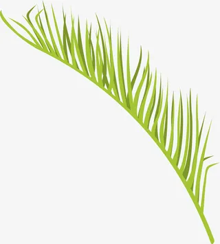 卡通棕榈叶矢量图免抠