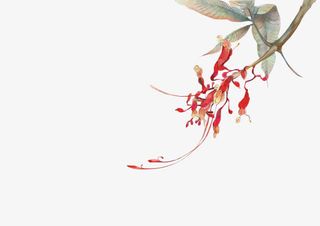 绿色植物绿色花瓣彩绘植物免抠