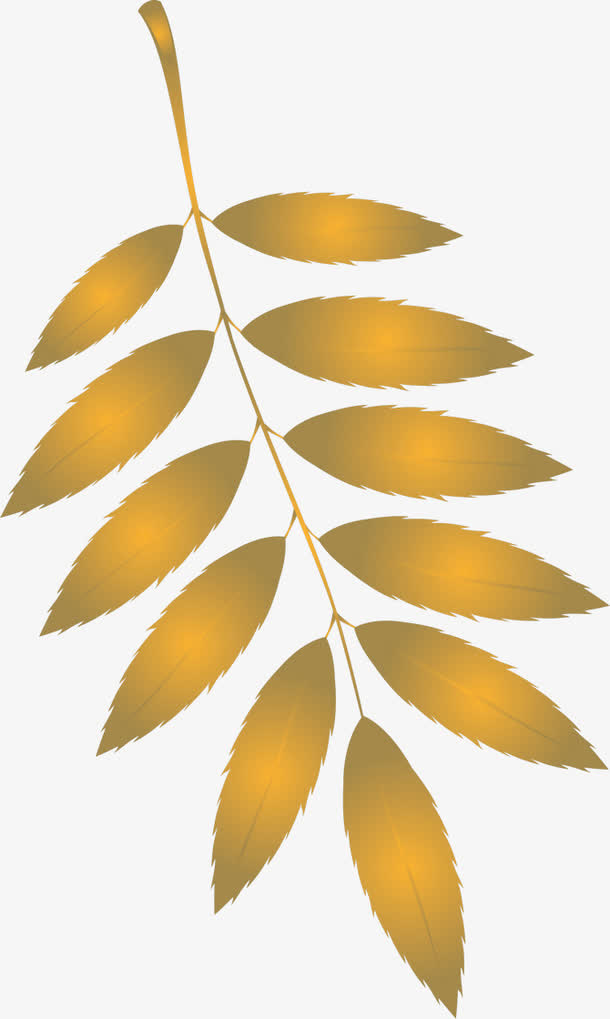 手绘叶子免抠