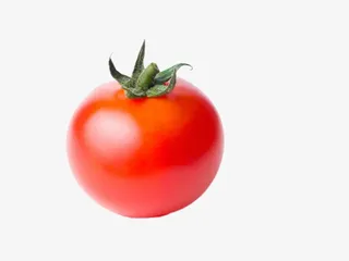 实物新鲜红色带藤樱桃番茄免抠