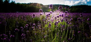 淘宝背景图高清