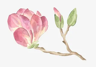 树枝上的花朵免抠