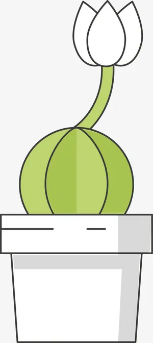 盆子里的荷花免抠