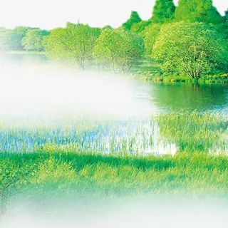 风水树林png免抠