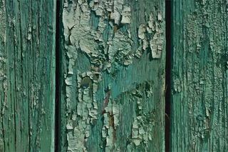 绿色简约树纹边框纹理免抠