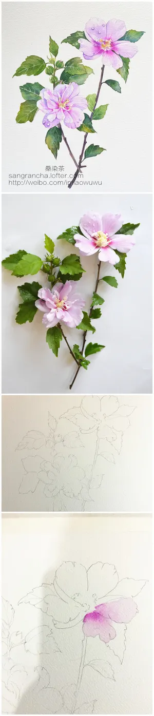 纹理水彩花朵壁纸免抠 纹理水彩花朵壁纸免抠