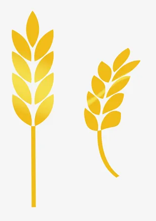 麦田黄金稻穗简图免抠