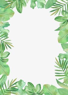 边框植物边框手绘植物绿叶免抠