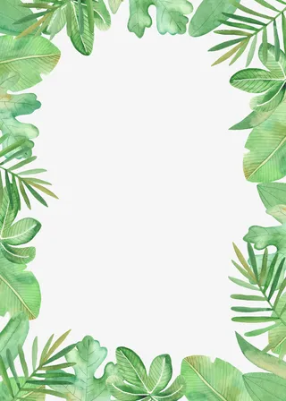 边框植物边框手绘植物绿叶免抠