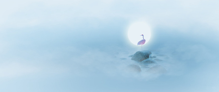 唯美鹤背景图高清