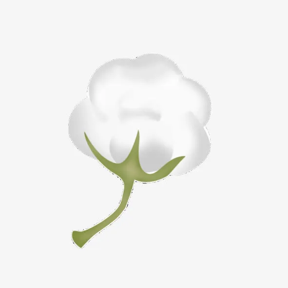 棉花免抠
