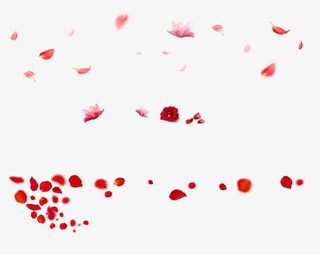 唯美粉红色花瓣飘落免抠