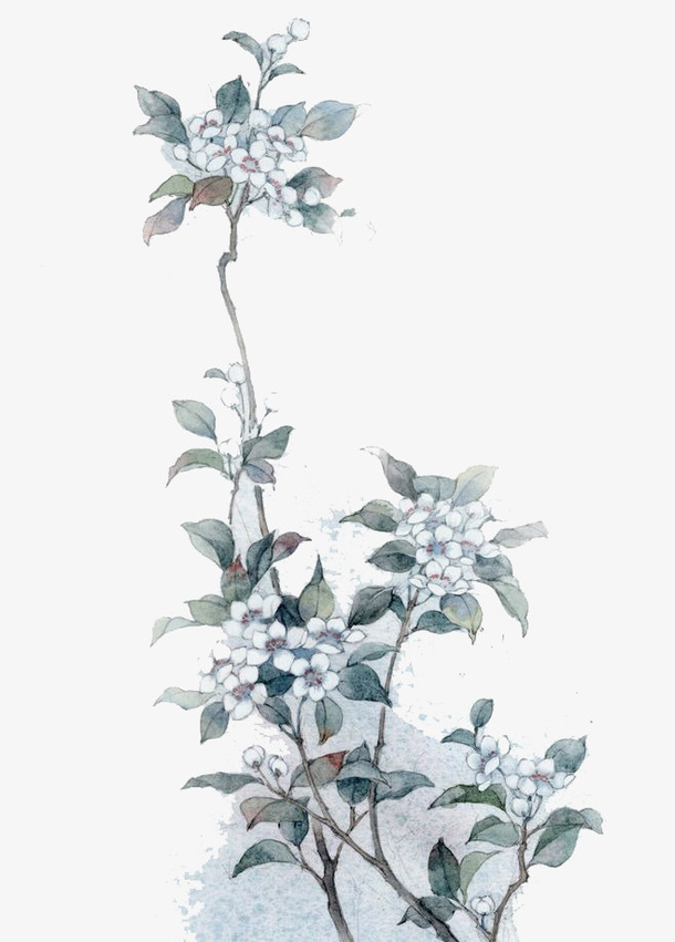 水彩鲜花免抠
