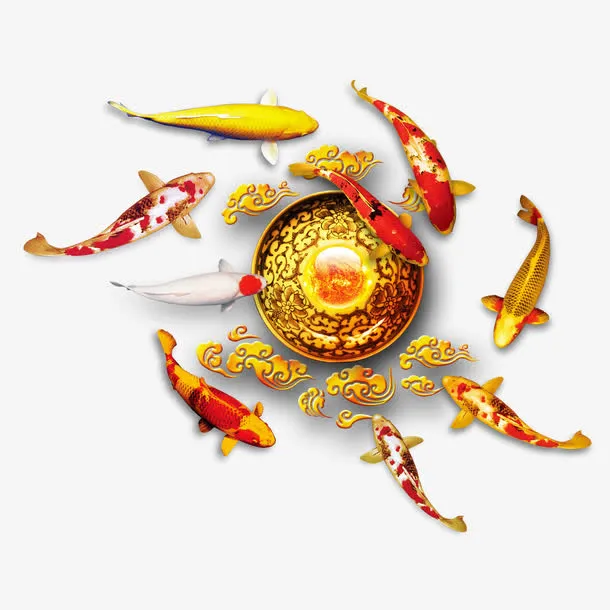 九鱼图免抠