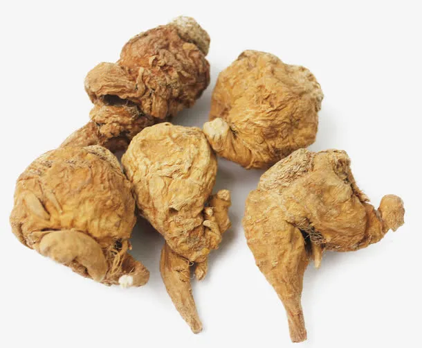 玛咖植物免抠