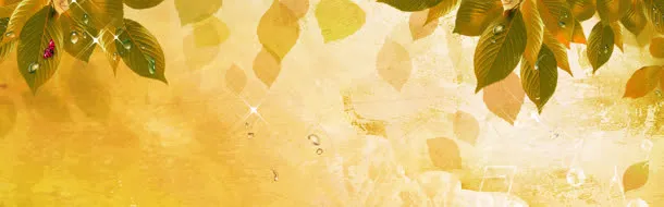 树叶和瓢虫免抠