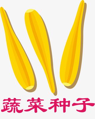 花生种子子叶破土的种子免抠