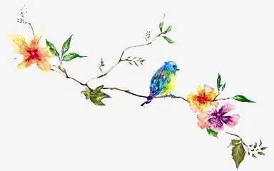 喜鹊与花免抠