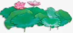 绿色荷叶荷花美景池塘免抠