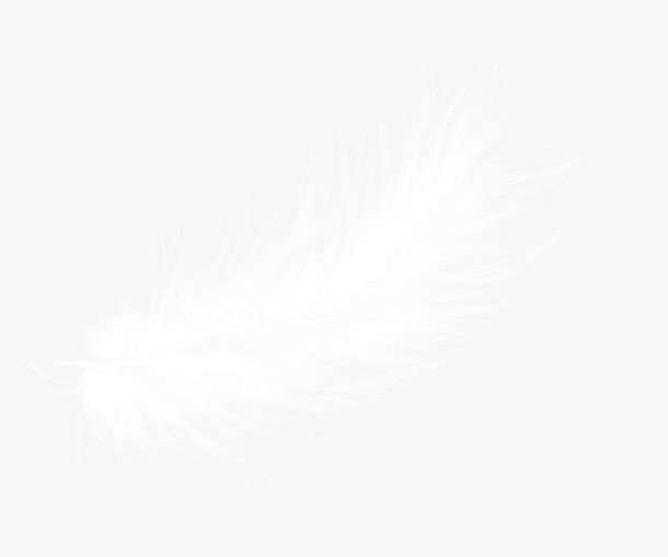 羽毛装饰素材免抠