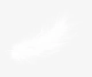 羽毛装饰素材免抠