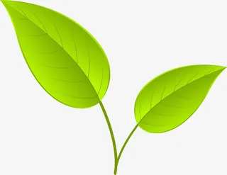 春天卡通树叶免抠