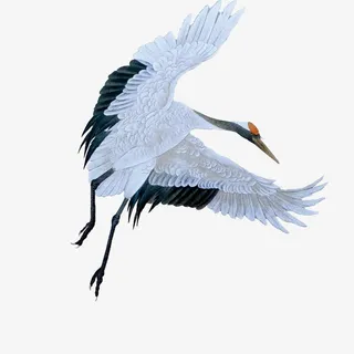 手绘国画仙鹤丹顶鹤免抠