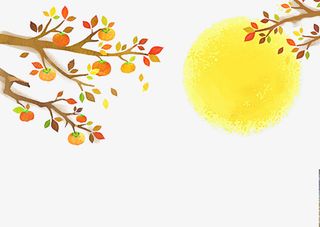 柿子插画装饰素材免抠