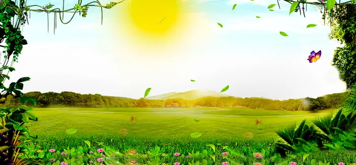 春天景色太阳森林草地绿banner高清