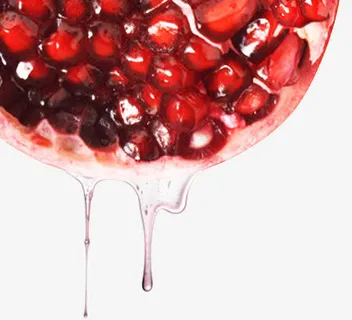 红色石榴子精华浓缩免抠