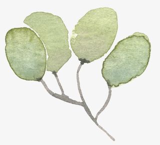 手绘水彩绿色叶子小学生免抠