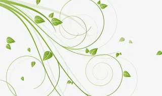 春天清新藤蔓枝条树叶免抠