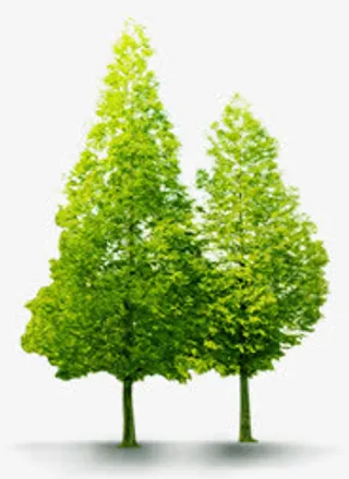 春天公益植物大树装饰免抠