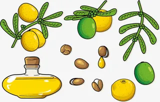 矢量图新鲜的果树免抠